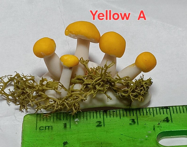 112 Scale Dolls House Mushrooms , Toadstools Dollhouse Garden image 5