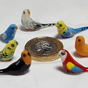 Miniatuur Budgie, Grasparkiet Papegaai, Huisdier Vogel, Handgeschilderde Collectable Keramische Ornament Gift