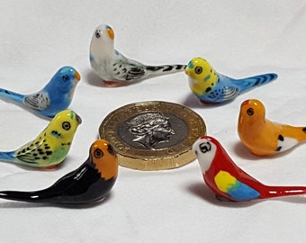 Miniatuur Budgie, Grasparkiet Papegaai, Huisdier Vogel, Handgeschilderde Collectable Keramische Ornament Gift