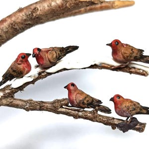 Può includere: Sei uccellini in miniatura con teste rosse e corpi marroni appollaiati su un ramo dettagliato e strutturato. Gli uccelli sono disposti in una posa naturalistica, alcuni sembrano interagire. Il ramo è di colore marrone caldo e lo sfondo è bianco.