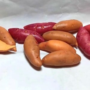 May include: A selection of sweet potatoes in shades of orange, red, and tan. Some are whole, others sliced, revealing the bright orange interior. The potatoes are displayed on a white surface.
