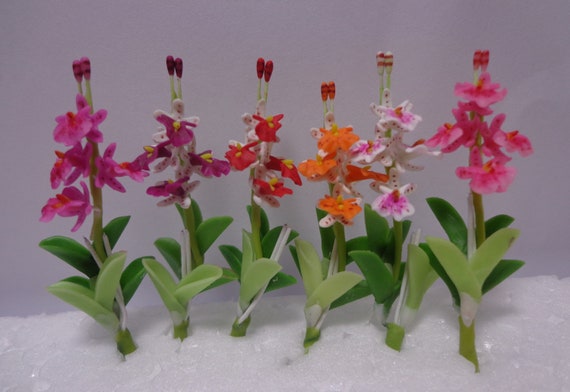 1:12 Maßstab Weiß & Pink Orchidee IN Keramik Topf Puppenhaus Blumengarten 17 