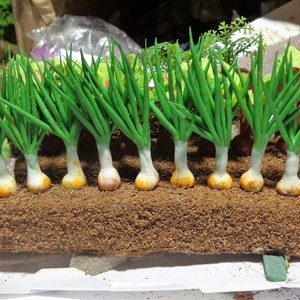 1:12th Scale Growing Onions Dolls House Miniature Garden, Accessory