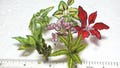 1;12 Scale Hand make Plant Dolls House Miniature Garden