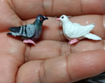 Due Colombe Immagine Stock. Immagine Di Uccello, Animale - 8862489 - Foto 9