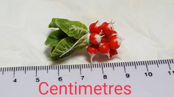 thumbnail image 2 of 12 Beetroots Vegetable Dollhouse Miniatures Food Kitchen By 1shopforyou 2 of 9