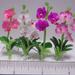 1;12 Scale Orchid flower Dollhouse Miniature Flower , garden