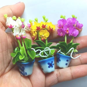 May include: Miniature potted orchids in white, yellow, and purple blooms. Each plant is in a blue and white ceramic pot with a floral design. The plants have green leaves and white wire accents.