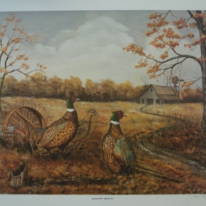 a ring neck pheasant print-gift for men-wildlife art print-home decor- gift for  Christmas- vintage Lithograph art prints- gift for man cave