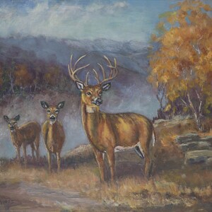 wildlife fine art- deer art prints- giclee prints - wildlife art prints- deer wall art - buck deer art print - size 11 X 14 inches