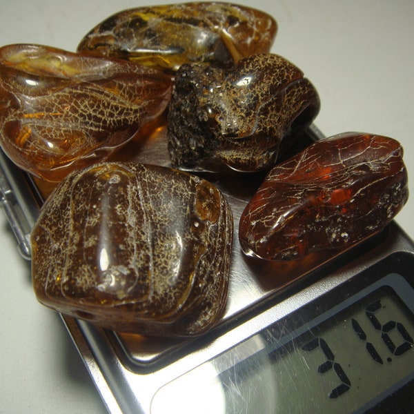 AMBER BALTIC / raw baltic amber stone stones bernstein natural bursztyn baltycki POLISHED genuine 琥珀 Amber (s769