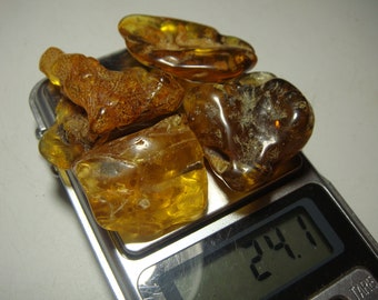 AMBRA BALTICA / pietra di ambra baltica grezza pietre bernstein naturale bursztyn baltycki LUCIDA genuina 琥珀 Ambra (s700