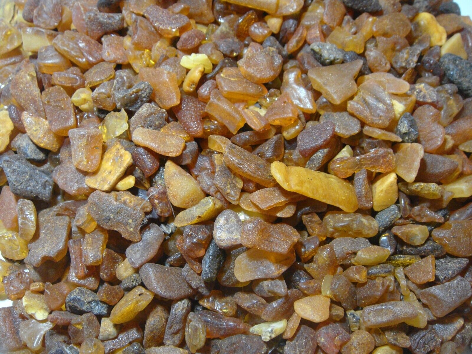 AMBER BALTIC / raw baltic amber stone stones bernstein natural bursztyn baltycki genuine 琥珀 Amber 500g from 0-1g