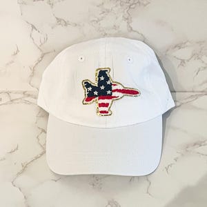 May include: White baseball cap featuring an embroidered design of an airplane with the American flag. The plane has a gold outline, with red and white stripes and blue stars. The cap has a curved brim and an adjustable strap.