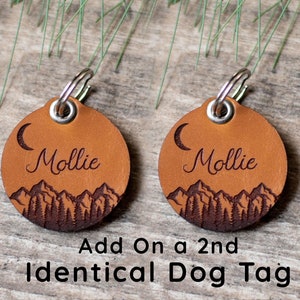 ID de chien en cuir identique et en double