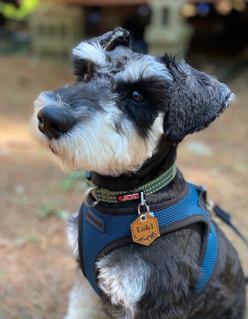 Leather Dog ID Tag Quiet Dog ID Hexagon Tag With Mountains Etsy