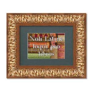May include: A framed cross-stitch with a vintage book background and the Latin phrase "Noli Latine loqui pro libros" in white text.