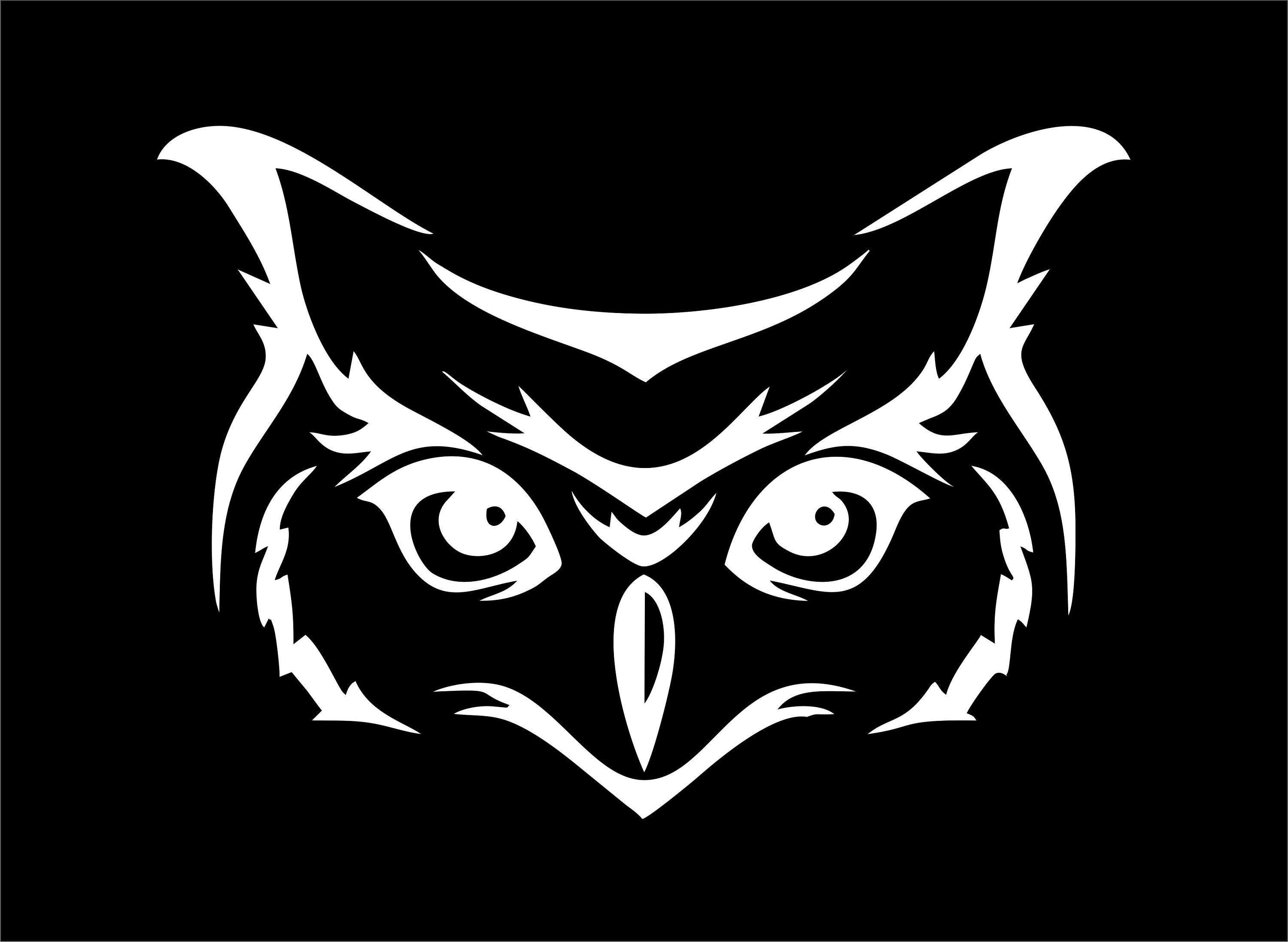 Tribal Barn Owl Decal Sticker Choose Color Size #496 