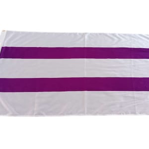 Two Row Wampum Flag