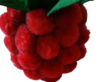 Raspberry ©  IMAGE LOGO