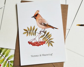 Ebere & Seidenschwanz Aquarell Grußkarte: British Nature