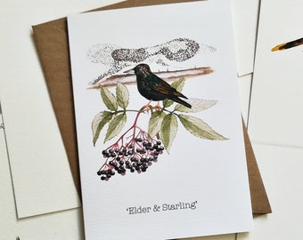 Holunder & Star Winter Grußkarte: British Nature