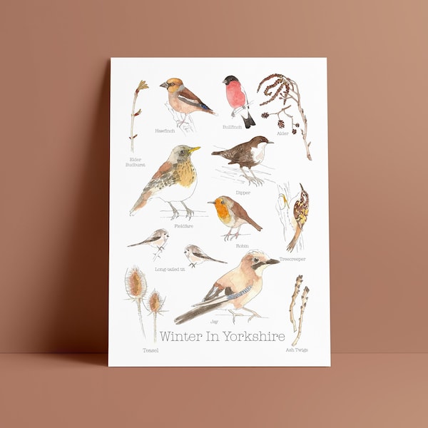 Winter Yorkshire Bird Print: Nature Lover A5 Wall Art
