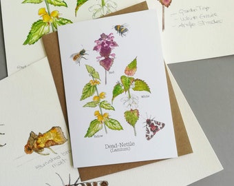 Dead Nettle Card • Wildflower card • Weeds card • Nature Card • British Nature Card