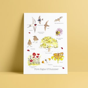 Erste Zeichen des Sommers A5 Druck • Natur Druck • Jahreszeiten Poster • Wildblumen Druck • englische Natur Wandkunst • Naturliebhaber Geschenk