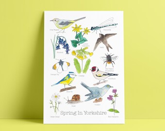 Spring In Yorkshire A5 Print • Nature lovers gift • British birds print • Yorkshire print • Spring print • Yorkshire print • ImbolcGift
