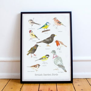 British Garden Birds A4 Print • Bird Lovers Gift • Nature Lovers print • British Birds Poster • British Garden Birds Print