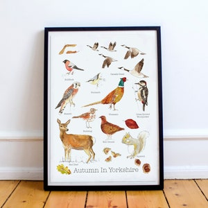 Autumn In Yorkshire A4 Print • Nature Lovers gift • Bird lovers gift • Yorkshire Print • British birds • Wildlife print • Woodland