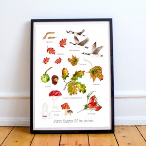 Impresión A4 de primeros signos de otoño • Regalo para amantes de la naturaleza • Impresión de hojas de otoño • Impresión de otoño • Arte de pared de naturaleza • Impresión de bosque • Impresión de naturaleza