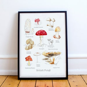 British Fungi Print: Watercolor Mushroom Art, Nature Lover Gift (A4)
