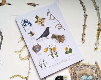 First Signs of Spring Card: Hazel Catkins, Bluebells, Primrose - Personalised Card