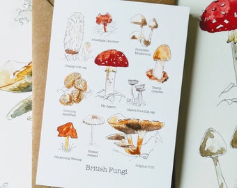 British Fungi Greetings Karte • Natur Geburtstagskarte • Pilz Geburtstagskarte • Pilz Geburtstagskarte • Herbst Karte • Herbst Karte