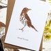 British Sparrows Wild Birds Watercolour Splash Effect Artistic Blank Greeting Card - View #10