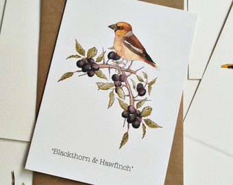 Winterkarte: Schwarzdorn & Kernbeißer: Britische Naturgrüße