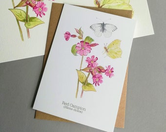 Rote Lichtnelke & Zitronenfalter Karte: British Nature Art