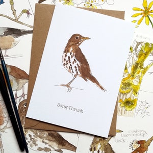 Song Thrush Watercolour Greetings Card • Personalised card • Nature card • Bird Birthday card • British Garden birds card • Thank You Card
