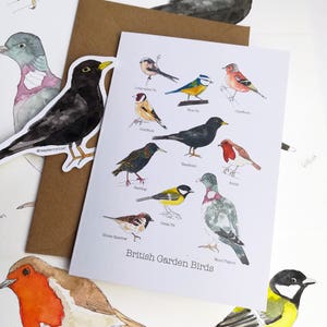 British Garden Birds Greetings Card • Bird Card • Personalised card• Nature card • Father&#39;s Day Card • Spring card