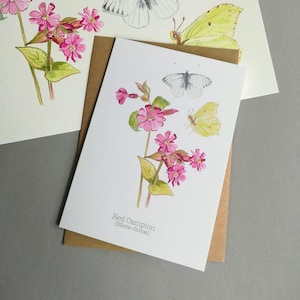Rote Lichtnelke & Zitronenfalter Karte: British Nature Art