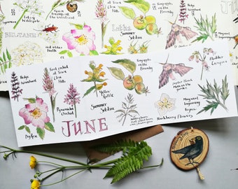 June Nature Journaling concertina card •  June Nature Card • June Birthday card • Summer card