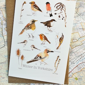 Tarjeta de felicitación de invierno en Yorkshire • Tarjeta de naturaleza • Tarjeta de Yorkshire • Tarjeta de invierno • Tarjeta de Navidad • Tarjeta de aves británicas