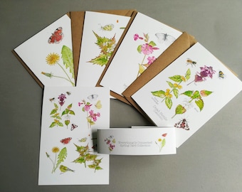 Wildblumen Grußkarten: Nature Art, Weeds Collection (4er Pack)