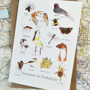 Tarjeta de felicitación de verano en Yorkshire • Tarjeta de aves británicas • Tarjeta de Yorkshire • Tarjeta de naturaleza • Tarjeta de estaciones