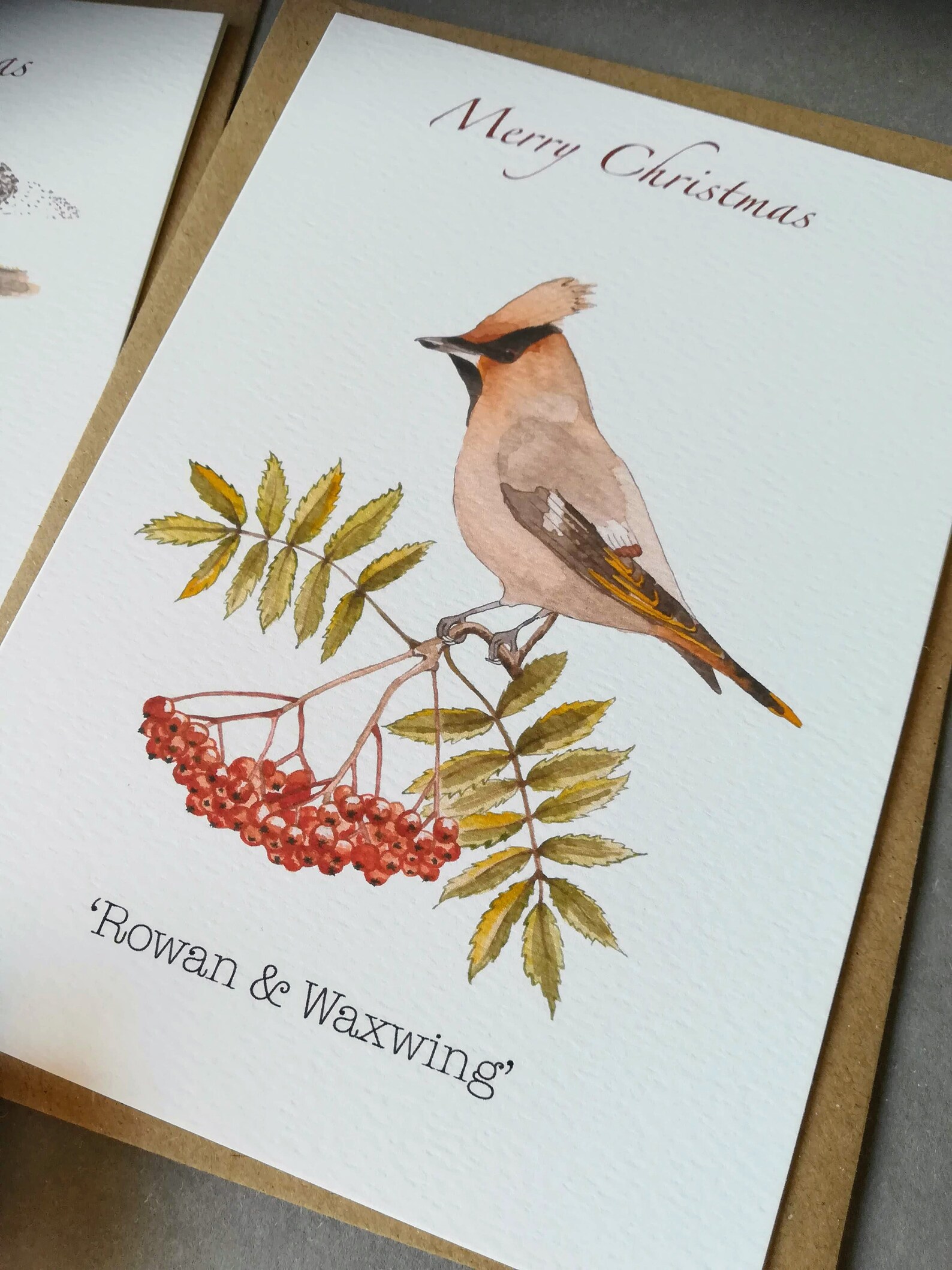 Pack of 5 Winter Nature Christmas Cards Nature Greetings Etsy UK