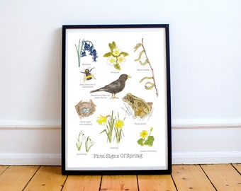 First Signs Of Spring A4 print • Nature Lovers Gift • Spring print • Nature poster • Wildflowers