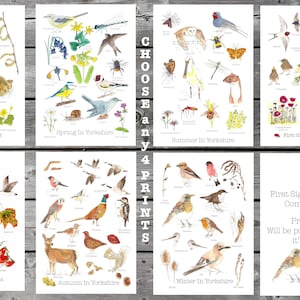 British Birds Print Set: Nature Watercolor Art (A4)