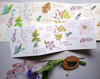 Juni-natuurdagboekkaart • Zomeraquarelkunst • Britse natuur • Concertina • Accordeon